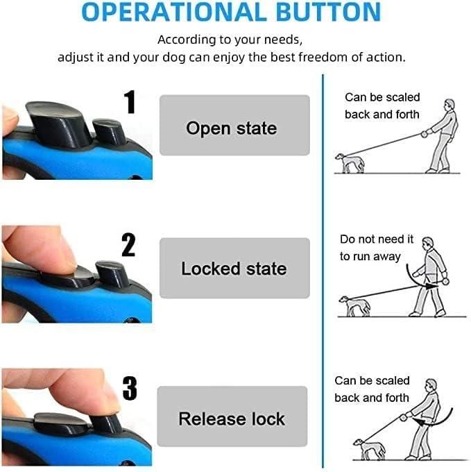 500 cm Dog & Cat Strap Leash (Multicolor) - OSAK ENTERPRISES