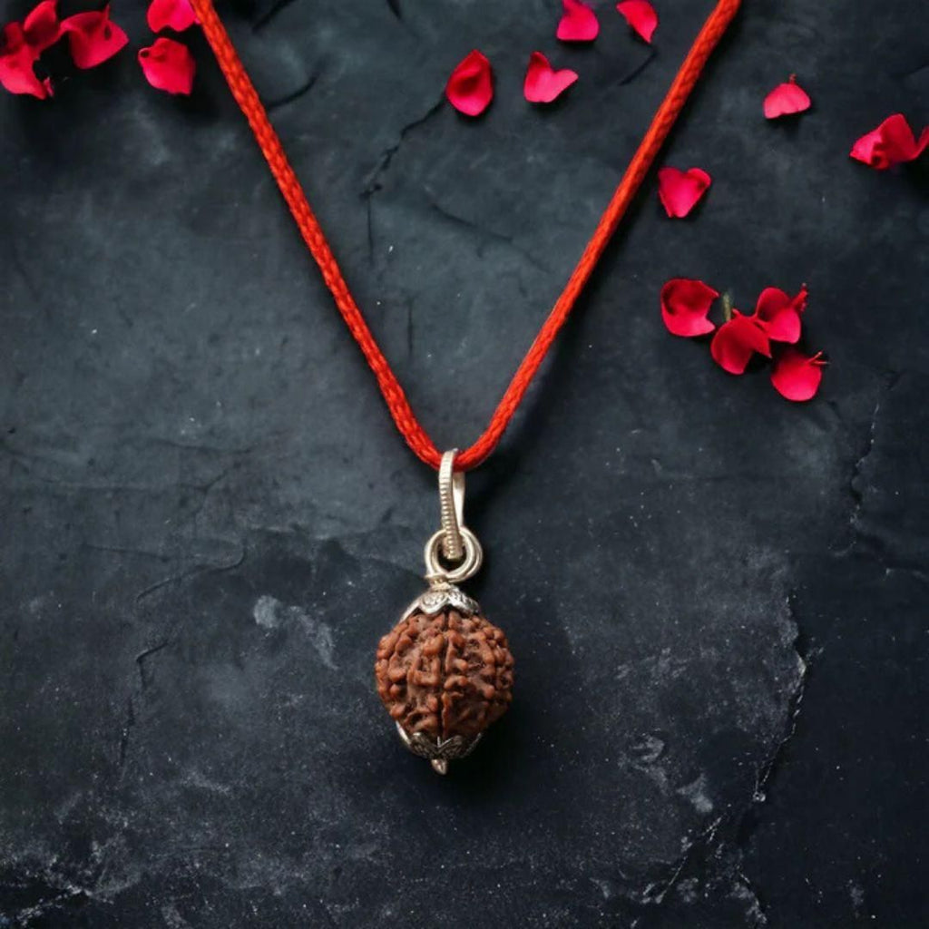 7 Mukhi Nepali Rudraksha - OSAK ENTERPRISES