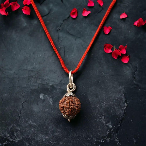 7 Mukhi Nepali Rudraksha - OSAK ENTERPRISES