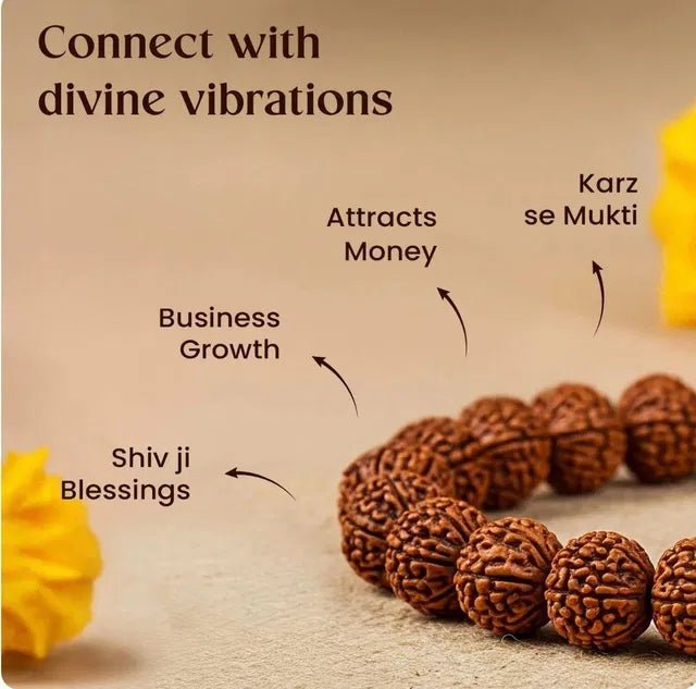 7 Mukhi Rudraksha Bracelet - OSAK ENTERPRISES