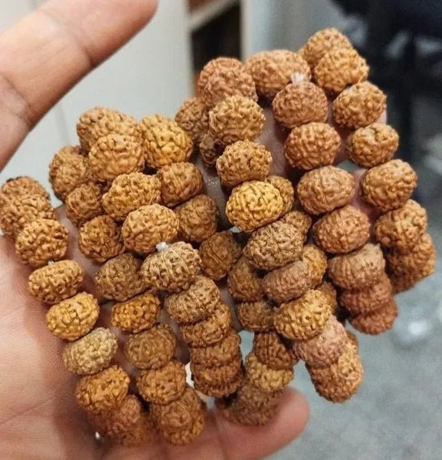 7 Mukhi Rudraksha Bracelet - OSAK ENTERPRISES