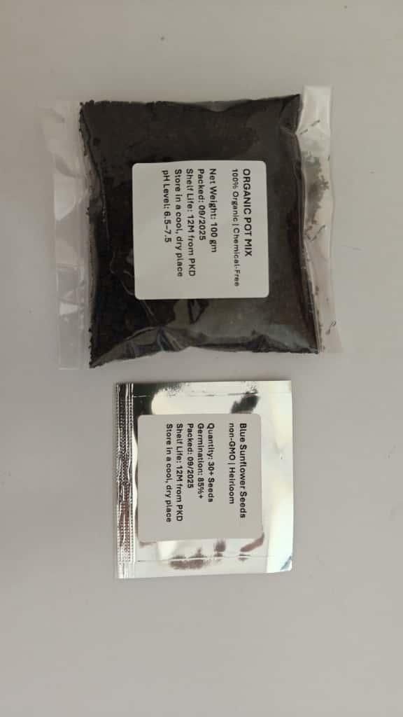 Blue Flame Sunflower Seeds + 100 Grams Organic Pot Mix Free - OSAK ENTERPRISES