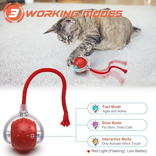 Cat Ball Toy, Electric Automatic Cat Toy for Home Cats (Multicolor) - OSAK ENTERPRISES