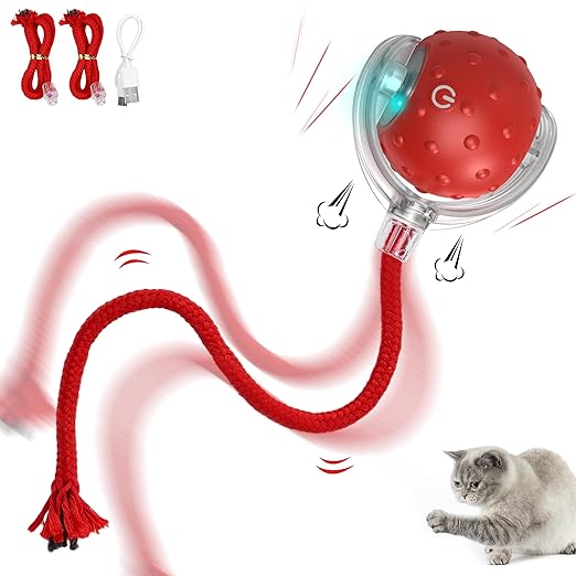 Cat Ball Toy, Electric Automatic Cat Toy for Home Cats (Multicolor) - OSAK ENTERPRISES