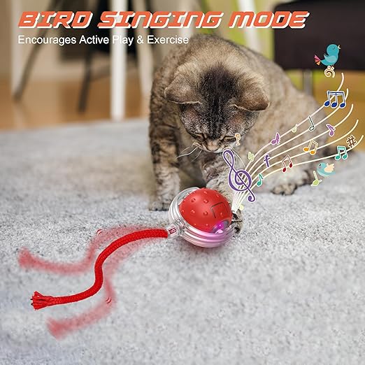 Cat Ball Toy, Electric Automatic Cat Toy for Home Cats (Multicolor) - OSAK ENTERPRISES