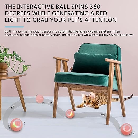 Cat Toy Ball Intelligent Funny Cat Ball 360 Degree (Pack of - 1) - OSAK ENTERPRISES