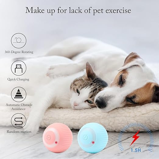 Cat Toy Ball Intelligent Funny Cat Ball 360 Degree (Pack of - 1) - OSAK ENTERPRISES