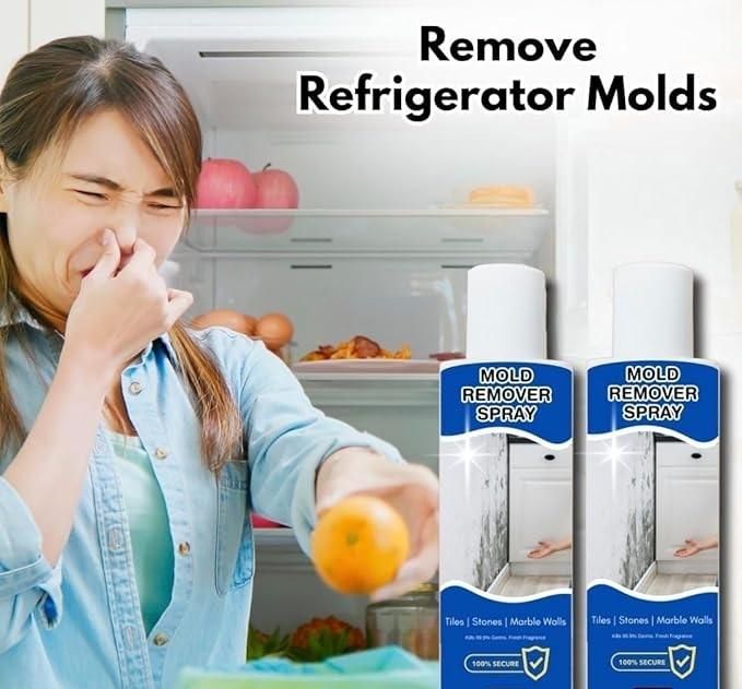 Mold Remover Spray 60ml - OSAK ENTERPRISES
