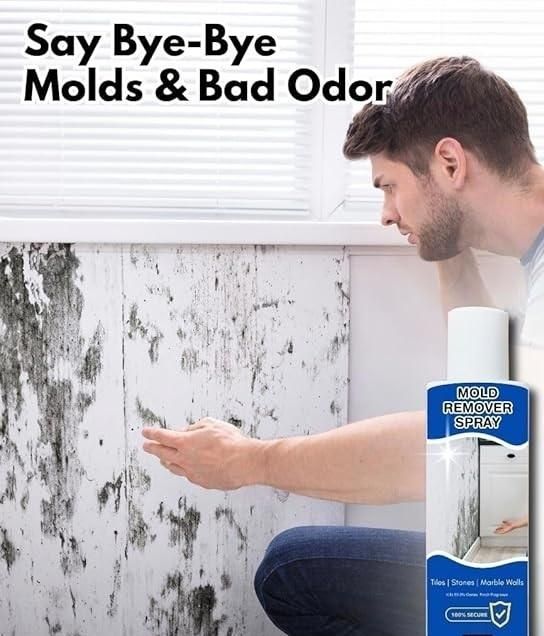 Mold Remover Spray 60ml - OSAK ENTERPRISES
